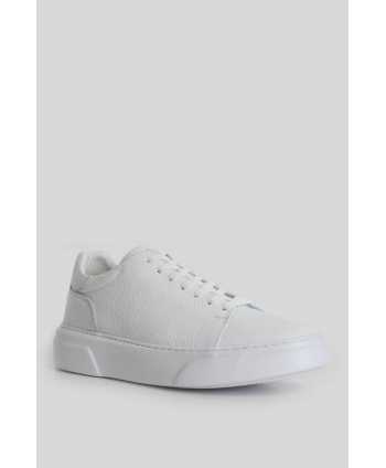 111230187- TOMMY SHOES